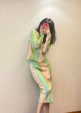 Rainbow Striped Knit Straight Skirt